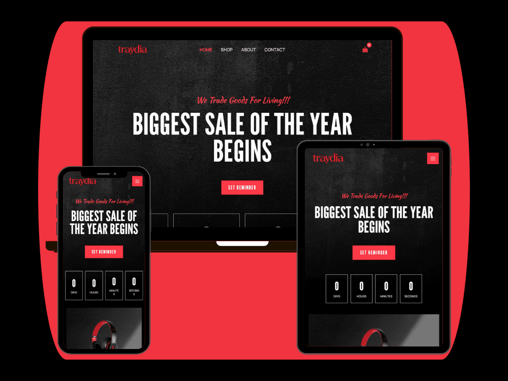 Traydia | Online Store Design, Shopping Cart, Payment Integration โ project cover